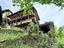Immagine 25