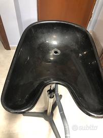 Lavaggio/ lavacapelli portatile