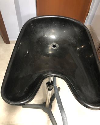 Lavaggio/ lavacapelli portatile