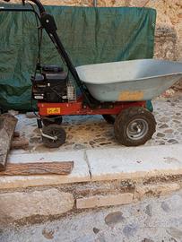 motocarriola 