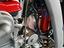 Immagine 14