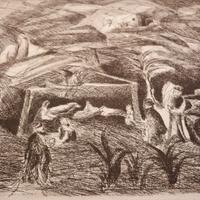 Acquaforte Massimo Baicchi