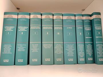 IL DIRITTO PRIVATO NELLA GIURISPRUDENZA