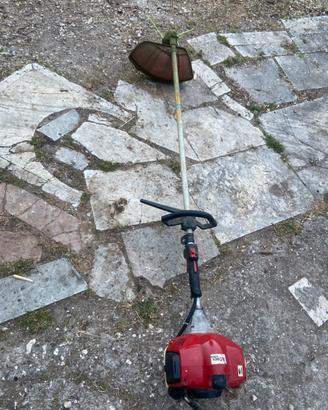 Decespugliatore