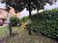 Immagine 24