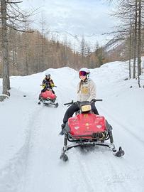 Motoslitta