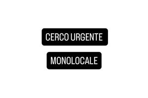 Monolocale per lavatrice