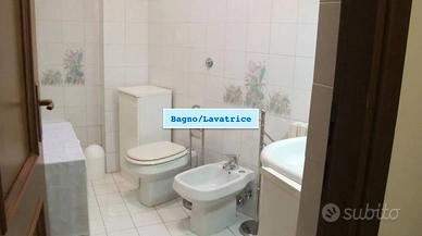 PISANA BILOCALE ARREDATO Con GIARDINO MATTONATO