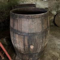 Girdinaggio e fai da te