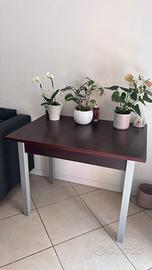 Tavolo 100x70