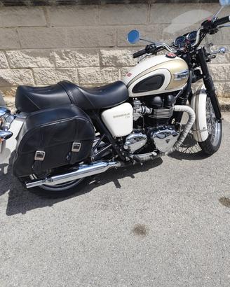 Triumph Bonneville t 100 
