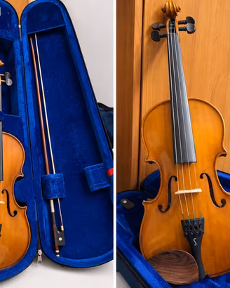 Violino