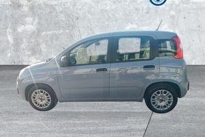 FIAT Panda 3ª serie Panda 1.0 FireFly S&S Hybrid
