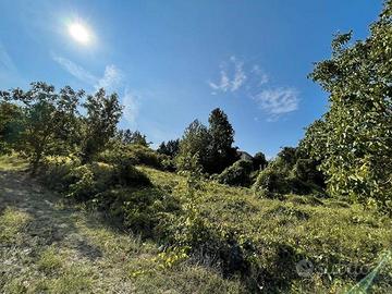 Rge 417/2021 trib pavia