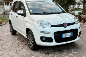Fiat panda natural power