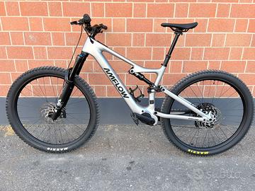 Amflow pl carbon 2025 tg L