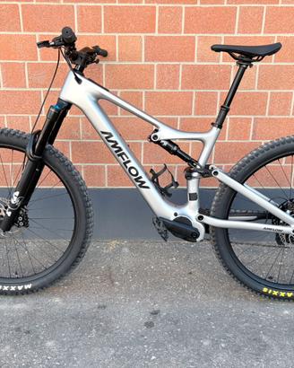 Amflow pl carbon 2025 tg L