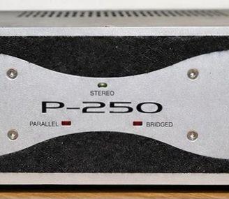 Amplificatore Omnitronic P250