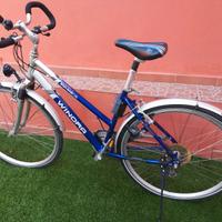 BICICLETTA WINORA DONNA