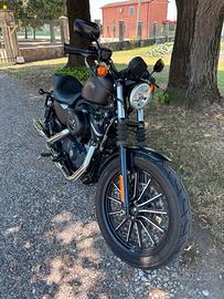 Harley Davidson 883