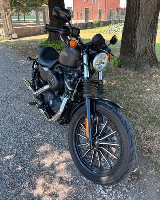 Harley Davidson 883