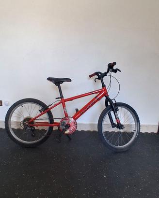 Bicicletta