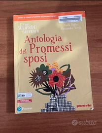 libro promessi sposi