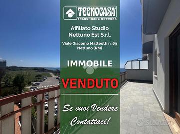 3 LOCALI A NETTUNO