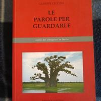 Le parole per guardarle, Giuseppe Cecconi