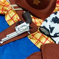 costume carnevale sheriffo woody  toy story