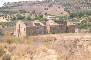 Terreno circa ettari 16