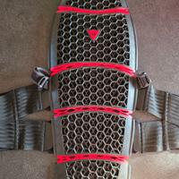 Paraschiena Moto Dainese - Pro-Armor Back 2.0
