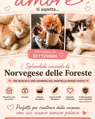 Norvegesi delle foreste