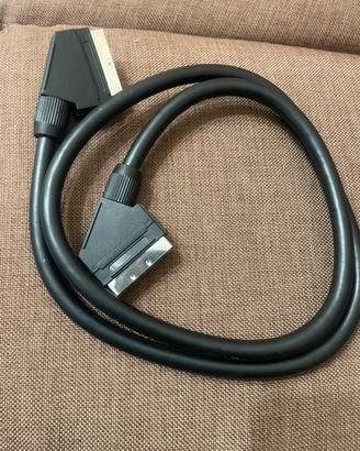 Presa scart