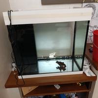 acquario juwel lido 120