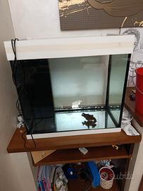 acquario juwel lido 120