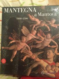MANTEGNA A MANTOVA 1460 - 1506