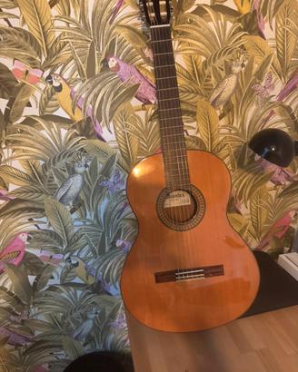 Chitarra Alhambra 3C con cistodia semi rigida