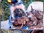 Immagine 5