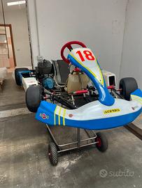 Go kart 100