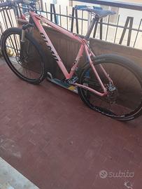 Bicicletta