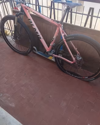 Bicicletta