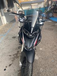 Benelli 2C 250 trk