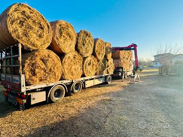 Fieno foraggio primo e secondo taglio