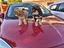 Immagine 8
