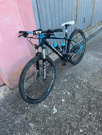 Bicicletta Torpado