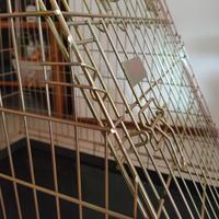 Gabbia per cani in acciaio