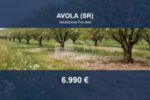 Immobile in asta di 24023 m² a Avola