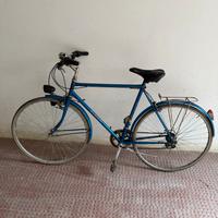 Bici da uomo