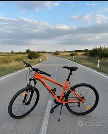 bici buone condizioni